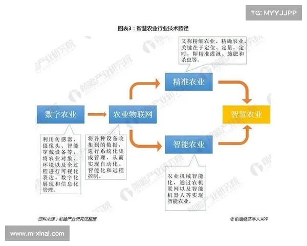 职业体育发展现状分析及未来趋势探讨：挑战、机遇与创新路径